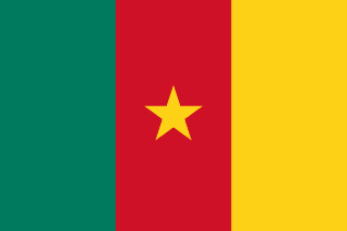 Flag of Cameroon