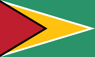 Flag of Guyana